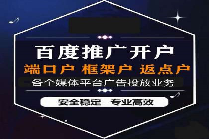 案例分享：百度推广助力企业实现多元化发展
